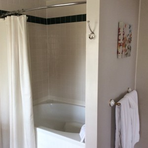 Alleghany Room Bath