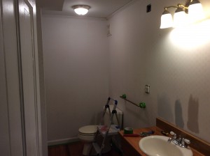 Robinson Bathroom Primer