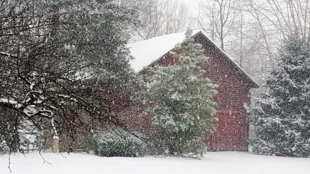 cabins on mill creek 2016 snowstorm