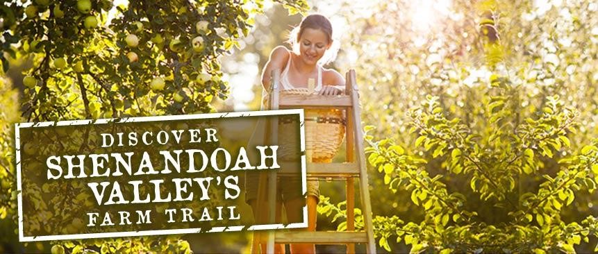 Shenandoah Rail Trail - Alliance for the Shenandoah Valley